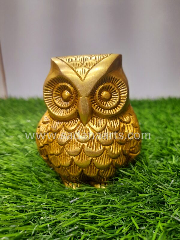 Owl
