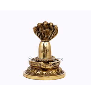 Sivalingam with Nagabaranam